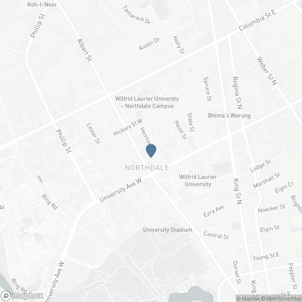 257 HEMLOCK Street Unit# 401, Waterloo, Ontario N2L 0K2